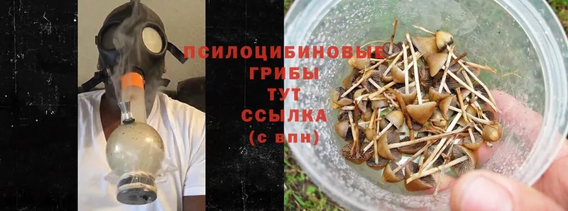 Где купить наркотики Северск Каннабис  Cocaine  Амфетамин  ГАШИШ 